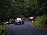 Mercedes 300 SL Gullwing & 250 GT Berlinetta 0415GT