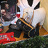 Lifestyle in Gstaad