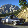 Alfa Romeo 1900 SS