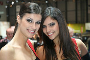 Alfa Romeo Showgirls