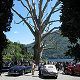 Villa d'Este Concours display