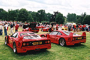 Ferrari F40 display