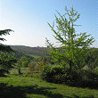 A view from Relais Borgo San Felice