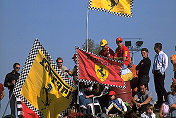Tifosi
