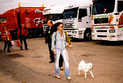 The walking dog