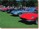 365 GT 2+2s and 330 GT 2+2s at Concorso Italiano