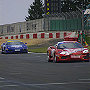 IMG_0559