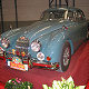Jaguar XK 150
