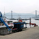 Vigo