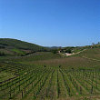 Tuscan scenery en route to Impruneta