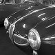 Alfa Romeo 1900 Barchetta