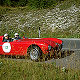 Alfa Romeo Disco Volante (Arengi/Annoni)