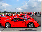 Incredible line of F40s in the paddock