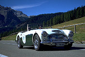 Austin Healey 100/6 (Trombini/Errani)