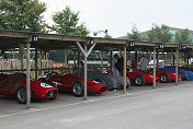 Maserati 250 Fs and Ferrari Dinos