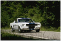 Ford Shelby GT 350 (Studer/Bertocchi)