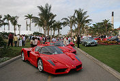 Line-up of four Enzo Ferrari