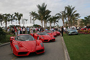 Line-up of four Enzo Ferrari