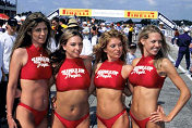 Pirelli Girls replacing Hawaian Tropic's