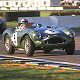Aston Martion DB3S