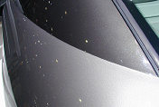 456M GT Duo Tone Grey Met’*/Grey s/n 126886