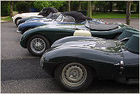258 1955 Jaguar D Type s/n XKD 530 �PAS 645� Bartlett G. Cashdollar S. USA