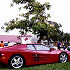 512 TR