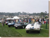 Jaguar D-Type Line-up