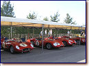Ferrari Line-up in Bonhams Country
