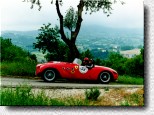 250 MM Vignale Spyder s/n 0276MM ex 0330MM