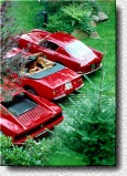 0925GT.250GT.backes.23