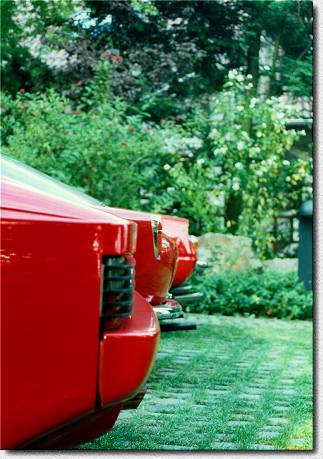 14911.365GTB4.back.35