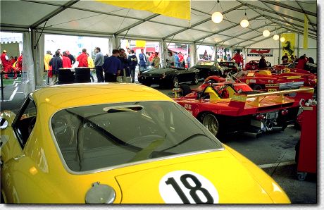 Paddock Campione