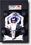 Jos Verstappen caused a second start 