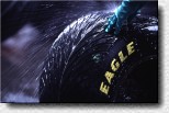 The Goodyear Eagle for the wet 