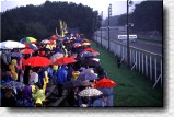 The umbrellas are opened when H�kkinen comes... 