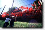 Both sides of the fence 