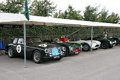 Aston Martin DB2 , DB3 and DB 3S in a row