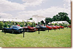 Ferrari 250 GTO's