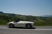 304 1950 Ferrari 166 MM s/n 0068M �ZA 597 SY� Casella P. - Gilli C. I