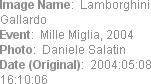 Image Name:  Lamborghini Gallardo
Event:  Mille Miglia, 2004
Photo:  Daniele Salatin
Date (Origin...