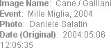 Image Name:  Cane / Galliani
Event:  Mille Miglia, 2004
Photo:  Daniele Salatin
Date (Original): ...