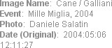 Image Name:  Cane / Galliani
Event:  Mille Miglia, 2004
Photo:  Daniele Salatin
Date (Original): ...