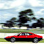 308 GT/4