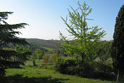 A view from Relais Borgo San Felice