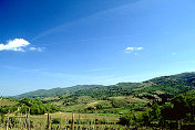 Tuscan scenery en route to Impruneta