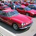 Ferrari 330 GT 2+2 series I, s/n 5731