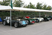 Aston Martin DB2 , DB3 and DB 3S in a row