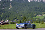 Austin Healey 100-6 (Massara-Schira)