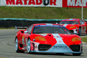 Strong contenders in N-GT, Team Maranello Concessionaires